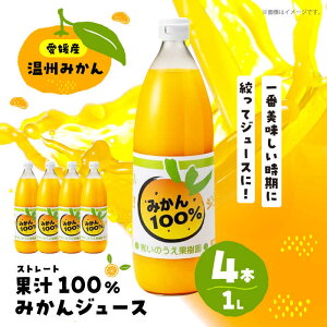 yӂ邳Ɣ[Łz B ݂ W[X Xg[g 1L × 4{ | lC  LO  Â Q t[c Mtg ʕ  IW 100% Fs/̂ʎ[AGBV001] 20000 2
