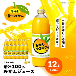 yӂ邳Ɣ[Łz B ݂ W[X Xg[g 500ml × 12{ | lC  LO  Â Y Q t[c Mtg ʕ IW Fs/̂ʎ[AGBV008] 30000 30000~