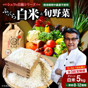 yӂ邳Ɣ[ŁzyS3zy21zy 5kg{؁zVFt̖ڐŌIIN[ 5kg+{̂؃Zbgyӂ邳Ɣ[ŌzFs/iLjqt@~[t[Y[AGBX040]  5