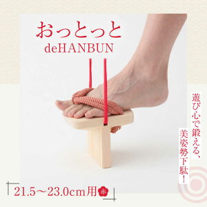 yӂ邳Ɣ[Łz ƂdeHANBUNSti21.5cmԁj | lC  LO  Q^ a C  Fs/lؗH[AGCA014] 20000 20000~ ȏ