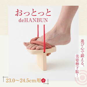 yӂ邳Ɣ[Łz ƂdeHANBUNSti24.5cmԁj | lC  LO  Q^ a C  Fs/lؗH[AGCA015] 20000 20000~ ȏ