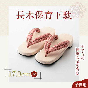 yӂ邳Ɣ[Łzؕۈ牺 \tgi17.0cm ԉԏj | lC  LO  Q^ a C  Fs/lؗH[AGCA023] 10000 10000~ ȏ