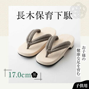 yӂ邳Ɣ[Łzؕۈ牺 \tgi17.0cm ԏj | lC  LO  Q^ a C  Fs/lؗH[AGCA028] 10000 10000~ ȏ