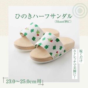 yӂ邳Ɣ[Łz Ђ̂n[tT_iShant!Cj | lC  LO T_    Fs/lؗH[AGCA047] 10000 10000~ ȏ