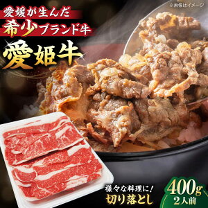 yӂ邳Ɣ[Łz  P ؂藎Ƃ 400g i 2lO j Fs/ؑX[AGCC028] ɂ    a Ya Ԑg uh   Zbg Hה ē QY Fs