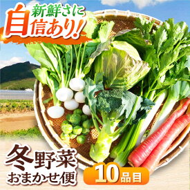 【ふるさと納税】野菜 【11月中旬から順次発送】冬野菜セット おまかせ10種 詰め合わせ 旬の野菜 国産 鍋物 炒め物 サラダ 野菜 定期便 野菜セット やさい 野菜 定期便 やさいセット 新鮮野菜 大洲市産 おすすめ 人気 美味しい おいしい 大洲市/かとう旬菜畑[AGCW001]