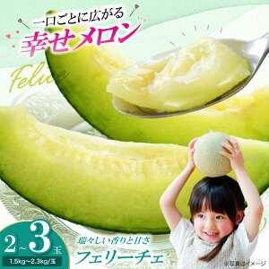 yӂ邳Ɣ[Łzys\zy6{珇z  tF[`F 23 Fs/_[AGCX002] ߂ ʕ  t[c VN QY FsY Yn 