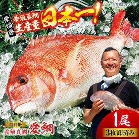 【ふるさと納税】真鯛 【冷凍】国内最高級 養殖 『愛鯛』1尾（3枚卸済 フィレ2枚 お頭付き） 人気 おすすめ 国産 ブランド鯛 大洲市/愛媛県漁業協同組合[AGDA001] 魚介類 魚介 鯛 刺身 鯛めし タイ茶漬け 鯛しゃぶ 鯛の塩焼き 刺し身 冷凍 さしみ 刺身 小分け