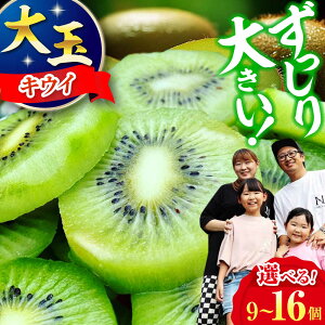 yӂ邳Ɣ[Łzy11{珇zyIׂTCYzLECt[c wC[h iʁ`j9`16 ÏnpbN t[cLbvt Fs/_[AGDC001] LEC LECt