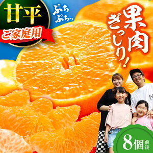 yӂ邳Ɣ[Łzy2026N2{珇zyƒpzÕ 8O ݂ ~J Ђ ؂ k Fs/_[AGDC004] ݂  Õ ʕ  t[c VN Q