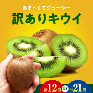 yӂ邳Ɣ[Łzys\zy11{珇zy󂠂zLECt[c wC[h yIׂeʁzi12`21j ÏnpbN QFs/_[AGDC006] LEC LECt