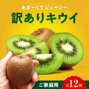yӂ邳Ɣ[Łzyƒpzys\zy11{珇zLECt[c wC[h 10 ÏnpbN QFs/_[AGDC006] LEC LECt[c ʕ  