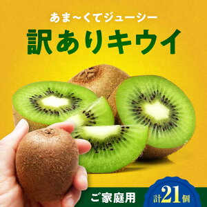 yӂ邳Ɣ[ŁzyƒpzLECt[c wC[h 18 ÏnpbN QFs/_[AGDC007] LEC LECt[c ʕ  t[c VN QY FsY Yn