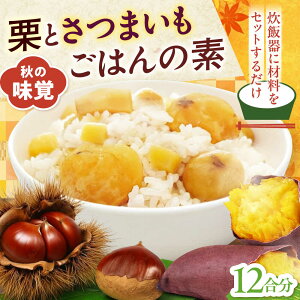 【ふるさと納税】栗とさつまいもごはんの素2合用6パック入り 愛媛県大洲市/愛媛うまいもの販売株式会社 栗 さつまいも ご飯の素 簡単調理 皮むき不要 味付け不要 炊き込みご飯 旬の食材[AGD