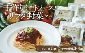 【ふるさと納税】野菜 詰め合わせ サラダ野菜セット ×シェフ自慢の ミートソース（ 135g × 5袋 ） | 人気 おすすめ ランキング おいしい 栽培期間中 農薬不使用 旬野菜 新鮮 ご当地グルメ 甘辛 チルド パスタ 大洲市/ヒロファミリーフーズ[AGBX034] 20000 20000円 以上