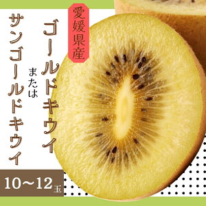 yӂ邳Ɣ[ŁzLEC Q TS[hLEC S[hLEC 10`12ʓ y11{珇\z ʌ ɗ\sbB470