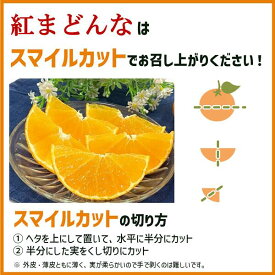 【ふるさと納税】【2027年先行予約】みかん キウイ 愛媛 せとかとグリーンキウイのセット せとか グリーンキウイ【2027年1月上旬順次発送予定】 人気 数量限定 柑橘 伊予市｜B544