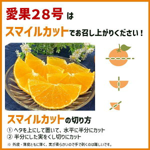 yӂ邳Ɣ[Łz݂ 󂠂 28 g܂ǂȂƓi yIׂeʁz3`5kg TCY~bNX ƒp y2025N12珇\z k QY Y t[c lC ʌ 