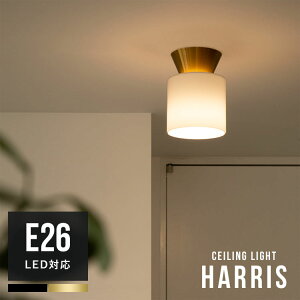 yӂ邳Ɣ[ŁzV[OCg 1 nX Belled Ɩ l炵 ֏Ɩ Ɩ Ɩ k CeACg LED Ή ʑ ʏ dC VƖ t g gC 