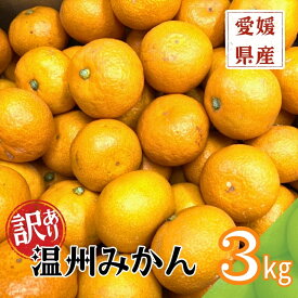 【ふるさと納税】訳あり 温州みかん 3kg ご家庭用 人気 数量限定 先行予約 愛媛 みかん 柑橘 【2025年11月上旬以降発送】｜A109