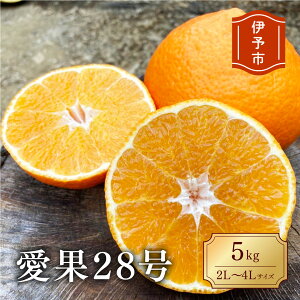 yӂ邳Ɣ[Łz݂ Q 28 5kg ƒp 2L`4L  lC ʌ s\ k ɗ\s y2025N11{珇\zbB83