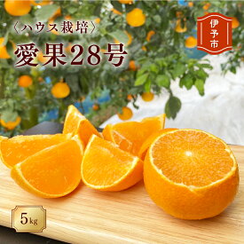 【ふるさと納税】みかん 愛媛 愛果28号（ハウス栽培）5kg 紅まどんなと同一品種 家庭用 サイズミックス 【2026年12月中旬から順次発送予定】 人気 数量限定 柑橘 伊予市｜B40