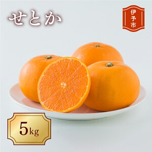 yӂ邳Ɣ[Łz݂ Q Ƃi5kgjL`3LTCY ƒp ol y2{珇\z lC ʌ s\ k ɗ\sbB193