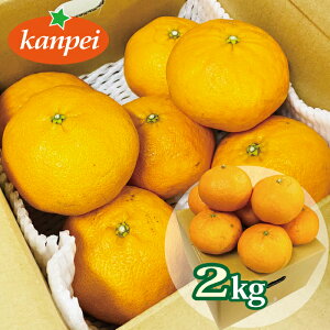 yӂ邳Ɣ[Łz󂠂 Õ ƒp ݂ Q 2kg lC TCY~bNX k ɗ\sbB234