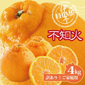 yӂ邳Ɣ[Łzsm 󂠂 ʂ 4kg ƒp ݂ Q lC TCY~bNX k ɗ\sbB236