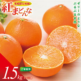 【ふるさと納税】紅まどんな 愛媛 ご家庭用 1.5kg （5～13個）【先行予約】【数量限定】愛果28号 愛媛果試第28号 みかん 柑橘 人気 愛媛 伊予市＜2025年11月下旬～順次発送＞｜B249