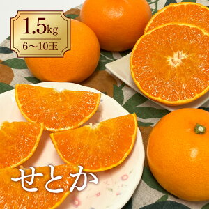 yӂ邳Ɣ[Łz݂ Q Ƃi1.5kgj lC ʌ s\ y2026N2{ȍ~z k ɗ\sbB30