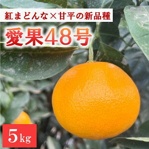 yӂ邳Ɣ[Łzy2026N3\z48 5kg _ ݂ Q lC ʌ s\ k ɗ\sbC93