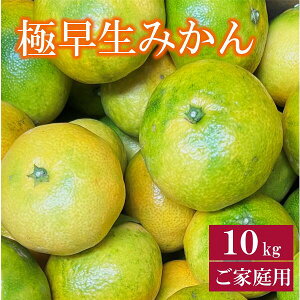 yӂ邳Ɣ[Łzɑ݂ 10kg ƒp _ s\ 10 Q ʌ QY lC k ɗ\sbB254