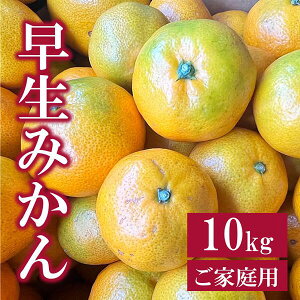 yӂ邳Ɣ[Łz݂ 10kg ƒp _ s\ y11ȍ~\z Q ʌ QY lC k ɗ\sbB255