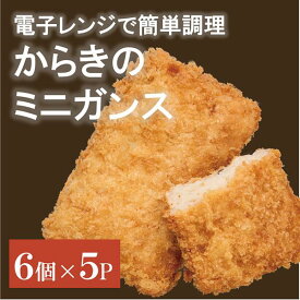 【ふるさと納税】がんす ミニ 冷凍 30個 からき天ぷら店 おかず お弁当 地元で人気 練り物 愛媛｜B176