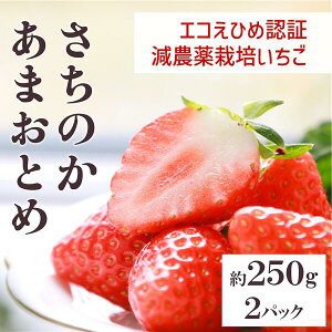 �y�ӂ邳�Ɣ[�Łz������ �����̂��E���܂��ƂߐH�ה�׃Z�b�g ���ʌ��� �_������ ���Q �l�C �ɗ\�s ���ڂȂ��_�� �bB14