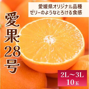 yӂ邳Ɣ[Łz28 10ʓ g܂ǂȓi s\ 12ȍ~\ Q ʌ QY lC k ɗ\sbC56