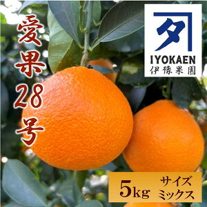 yӂ邳Ɣ[Łz28 TCY~bNX 5kg ƒp ݂ Q lC k ɘʉ ɗ\sbC107