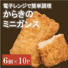 【ふるさと納税】がんす（ミニ）60個 冷凍 枚 おつまみ 練り物 おいしい 地元で人気 からき天ぷら店 | B410