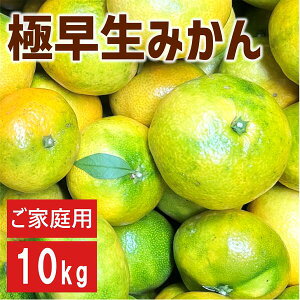 yӂ邳Ɣ[Łzɑ݂ 10kg ƒp 1 _ s\ y9{ȍ~z Q ʌ QY lC k ɗ\s | B227