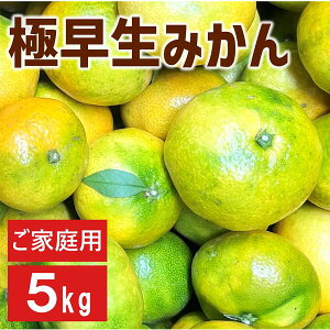 yӂ邳Ɣ[Łzɑ݂ 5kg ƒp 1 _ s\ y9{ȍ~z Q ʌ QY lC k ɗ\s | B226