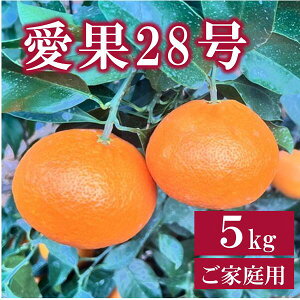 yӂ邳Ɣ[Łz28 5kg ƒp _ s\ y12{珇\z Q ʌ QY lC k ɗ\s | B256