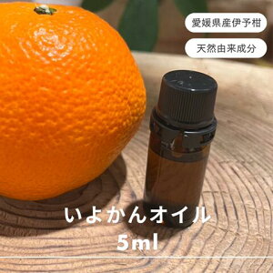 yӂ邳Ɣ[Łzɗ\ GbZVIC 5ml 悩 A}IC  A} I[KjbN 100VRA VR  Q IC  ObY   Y G RbB428