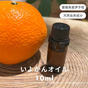yӂ邳Ɣ[Łzɗ\ GbZVIC 10ml 悩 A}IC  A} I[KjbN 100VRA VR  Q IC  ObY   Y G RbC127