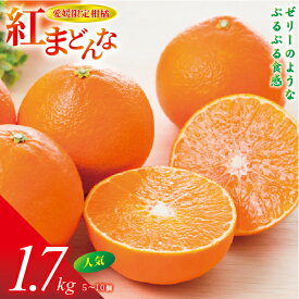 【ふるさと納税】紅まどんな 1.7kg（5～10個）【先行予約】【数量限定】愛果28号 愛媛果試第28号 みかん 柑橘 人気 愛媛 伊予市＜2025年11月下旬から順次発送＞｜B36