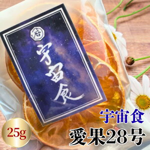 yӂ邳Ɣ[Łz28 FH QY ݂ 25gbB427
