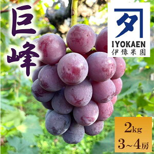yӂ邳Ɣ[ŁzȂ 2kg y2026Ns\E2026N8珇\z Ԃǂ  ʕ Q lC ɘʉ ɗ\sbB389