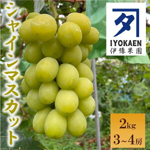 yӂ邳Ɣ[ŁzVC}XJbg 2kg y2026Ns\E2026N9珇\z Ԃǂ  ʕ Q lC ɘʉ ɗ\sbC108