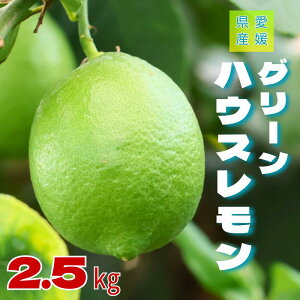 yӂ邳Ɣ[Łz O[ Q  nEX 2.5kg y8{珇\z ʌ EG k t[c r^~ Y ɗ\sbC132