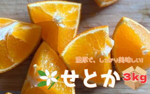 yӂ邳Ɣ[ŁzƂ 3kg ƒp ݂ Q s\ y2026N2{珇z ʌ QY lC k ɗ\sbB244